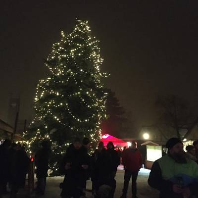 Breitenfurt im Advent                                                              